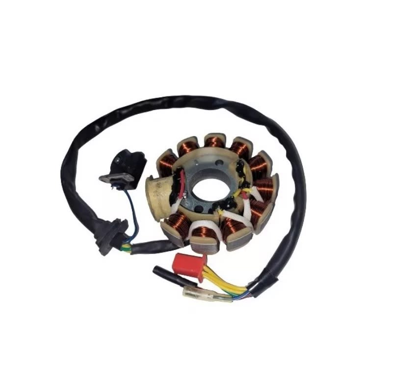 Magneto Estator Motor GY6 2P 10BCH 1BGR-1 2CBL 1CN4 519g 6