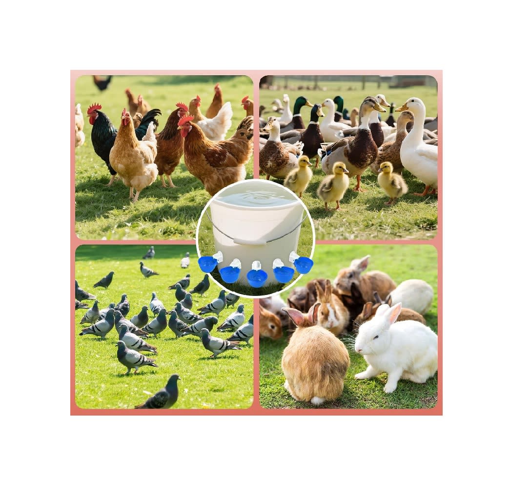 Dispensador Agua Automático de Plástico para Aves de Corral Azul X 4 Unid.5