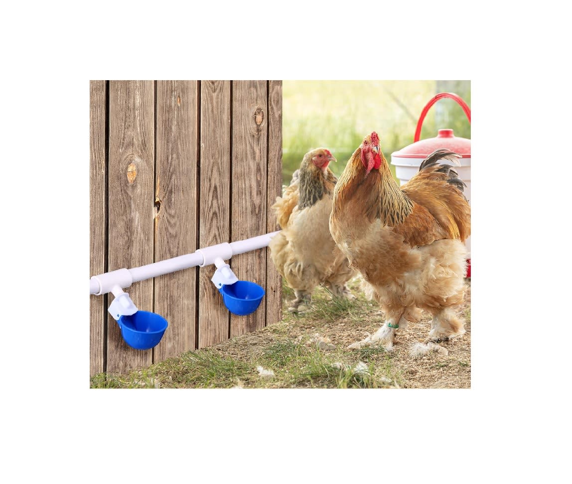 Dispensador Agua Automático de Plástico para Aves de Corral Azul6