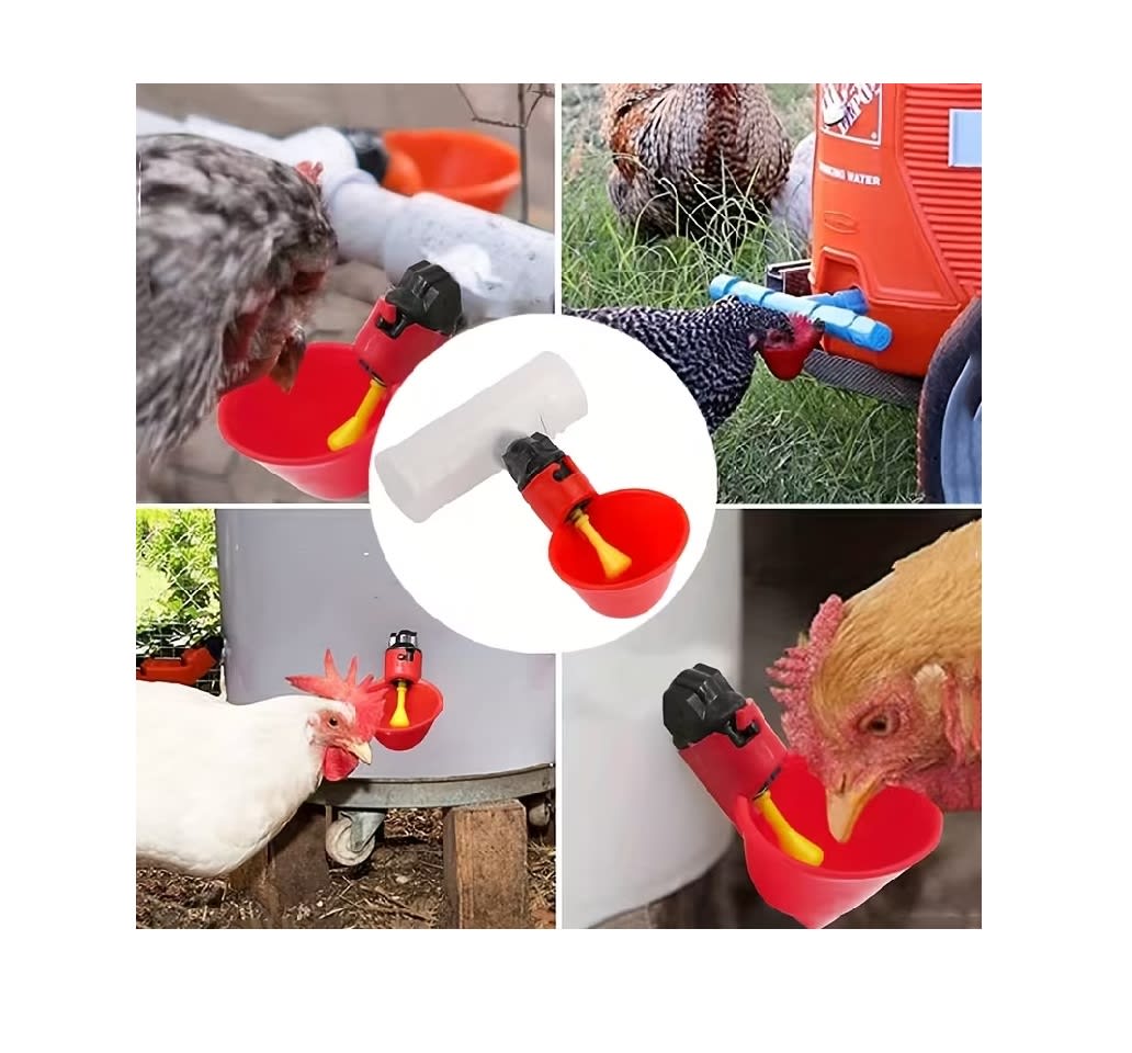 Dispensador Agua Automático de Plástico para Aves de Corral6