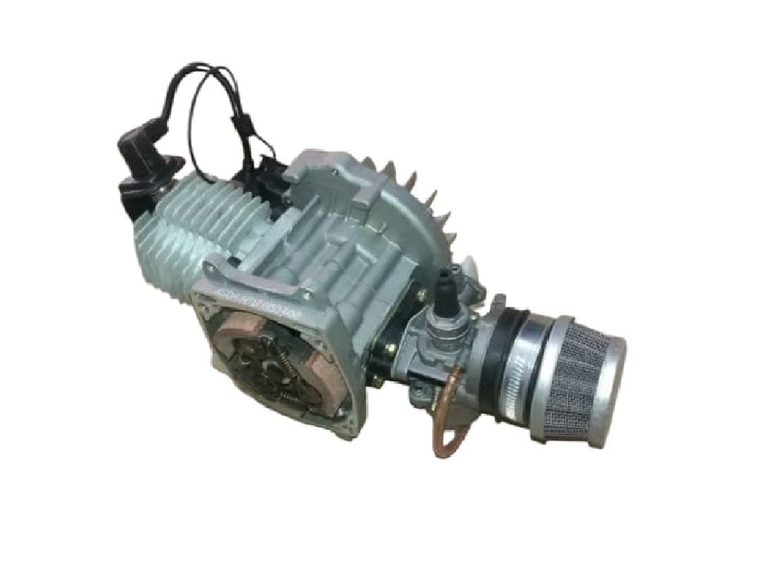 Motor 49cc2T P. Normal s/tapa centrifuga ni tirador 0