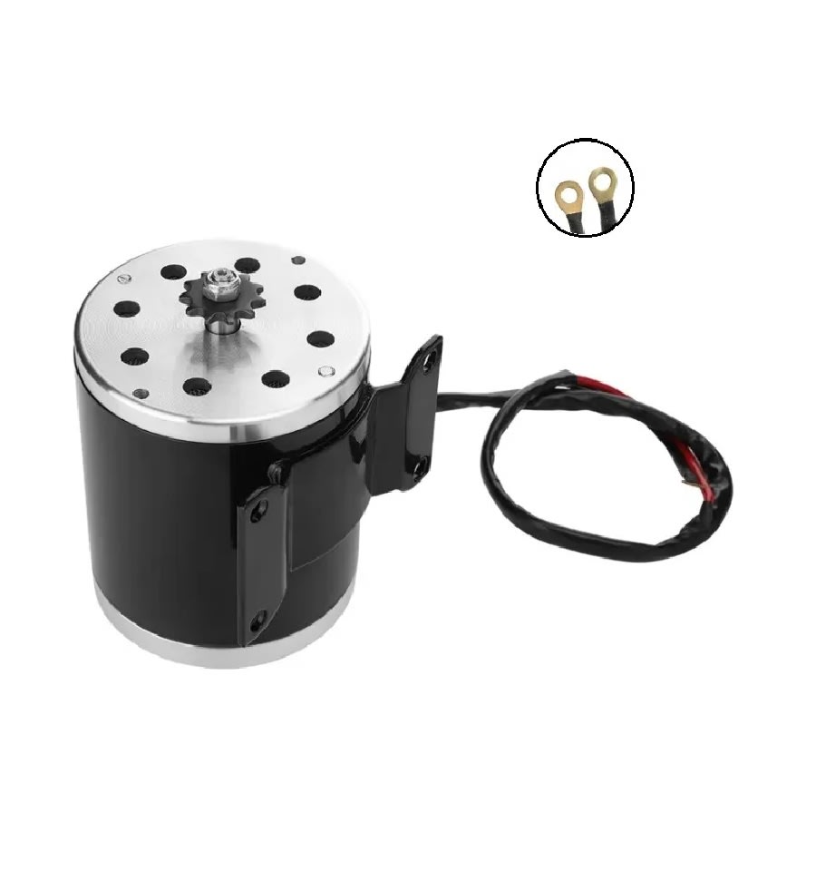 Motor Brush Eléctrico 36VDC 500W2