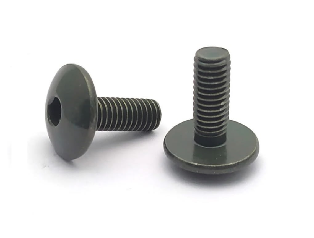 100 Pernos Parker M6x16mm Cabeza Redonda Plana Grande 0