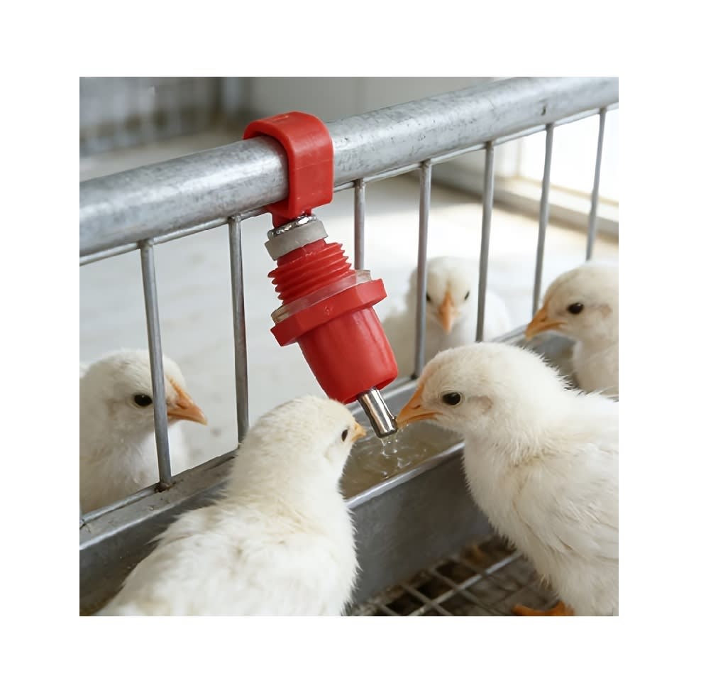 Sistema Automático Agua para Aves de Corral6