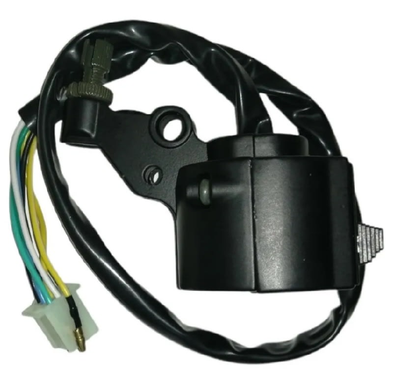 Switch Comando Luces Izquierdo Moto HJ125-73