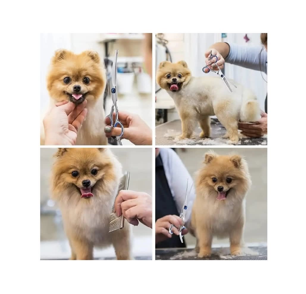 Tijera Curvada Wingsbro para Mascota6