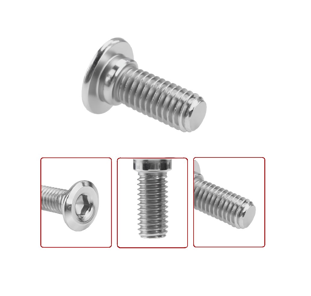 Tornillo Fijación Disco de Freno M8x20mm Inox.5