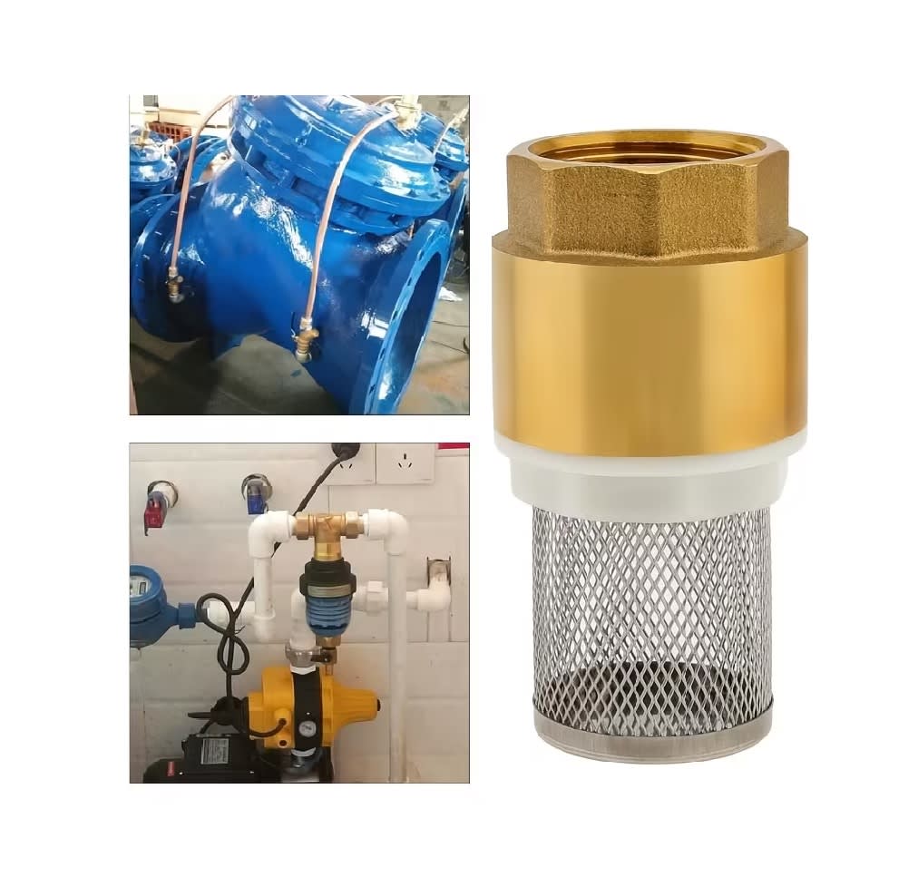 Válvula Retención Vertical 1/2