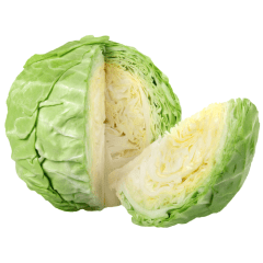 Repollo