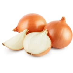 Cebolla