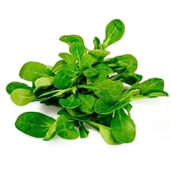 Espinaca (500 grs)
