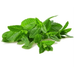 Menta (30 grs)