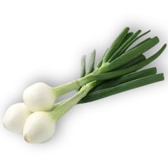 Cebollin