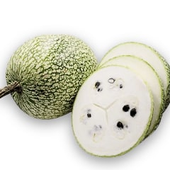 Alcayota
