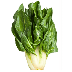 Acelga (1,5 kg)