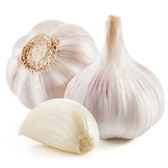 Ajo