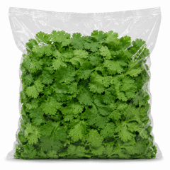 Cilantro entero al vacío