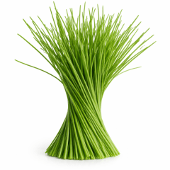 Ciboulette