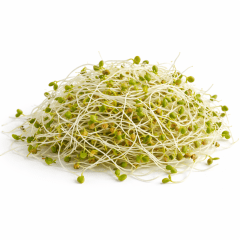 Brote de alfalfa