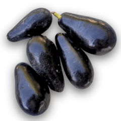 Palta Negra de la Cruz