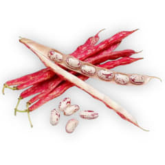 Porotos granados