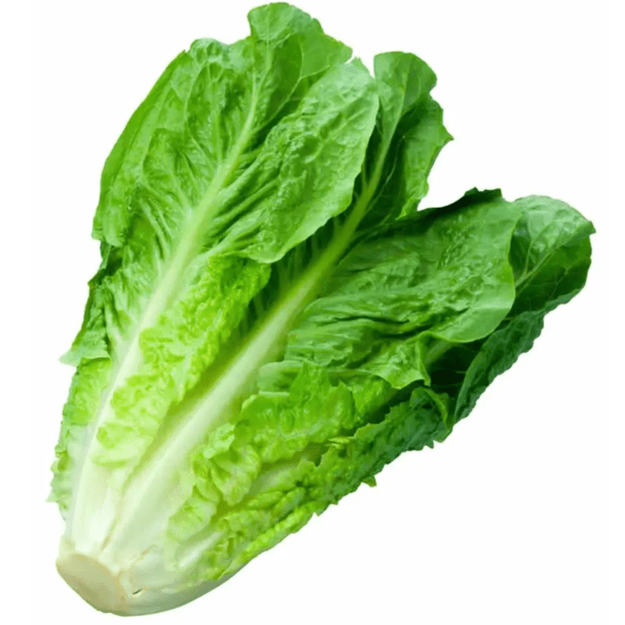 Lechuga1