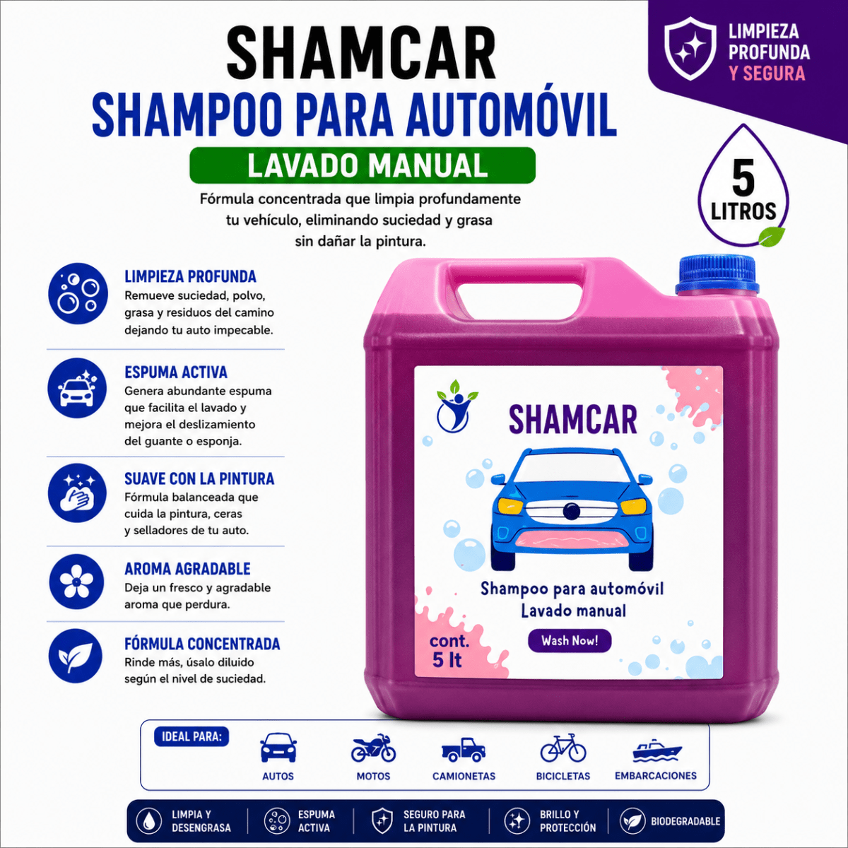 Shampoo para autos1