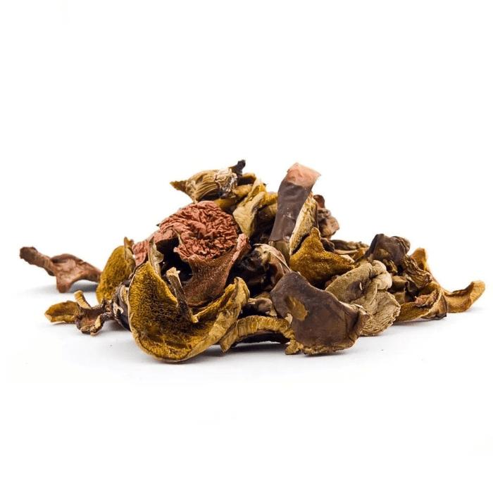 Callampas deshidratadas1