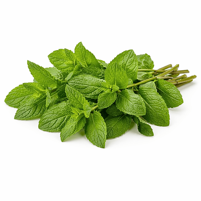 Hierba buena (30 grs)1