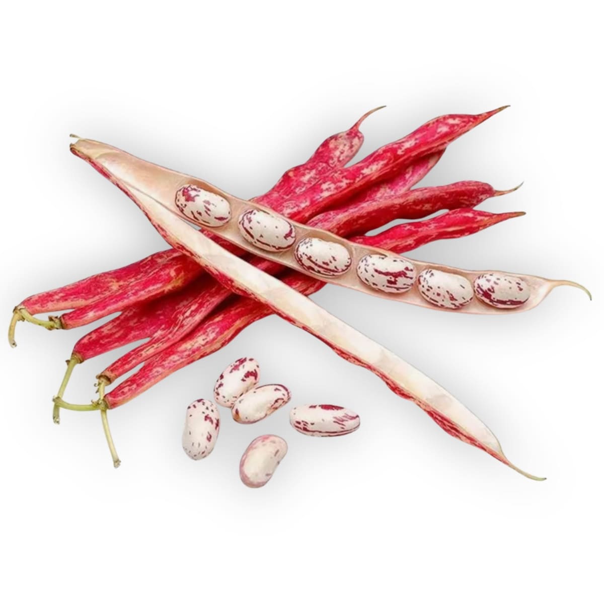 Porotos granados1