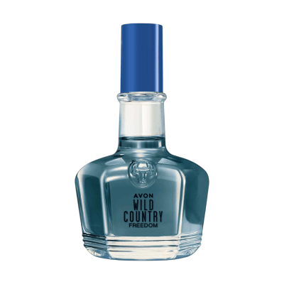 WILD COUNTRY FREEDOM 100 ML1