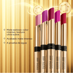 LABIAL EN BARRA ROUGE INFINI LBEL