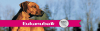 banner eukanuba3701