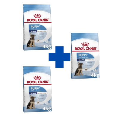 Royal Canin Maxi Puppy 12 KG (pack 3 bolsas 4 kg)1