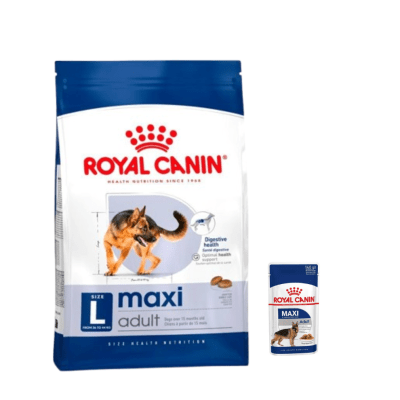 Royal Canin Maxi Adulto 12Kg + Pouch Royal Canin Maxi Adulto 140gr1