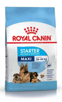 Royal Canin Maxi Starter 10Kg1