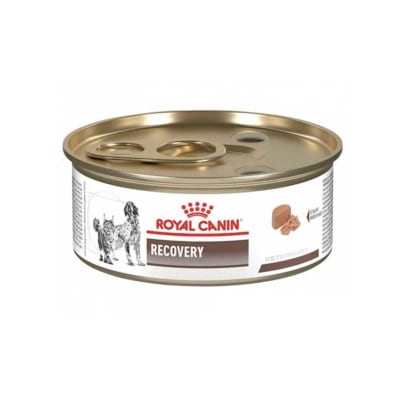Royal Canin Recovery Lata 145 g1
