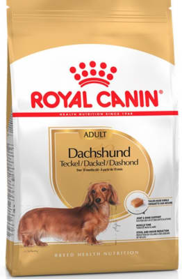 Royal Canin  dachshund adulto 7,5 Kg.