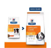 Hill's C/D Canino 7,98 KILOS1