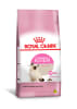 Royal Canin kitten 4 Kg.1