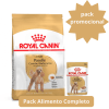 Royal Canin Poodle Adulto 3Kg + Pouch Royal Canin Poodle Adulto 85g1