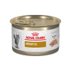 Royal Canin Urinary S/O Felino Lata 145g1