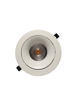 DownLight 20W 3000K Cálida Dirigible 17cm1