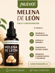 Melena de León extracto líquido 50ML 0