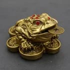 Rana De La Fortuna 3 Patas 3.5x5.5cm Feng Shui Abundancia2