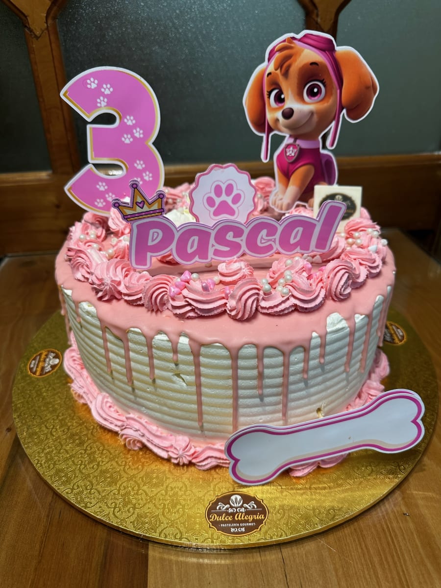 Tortas temáticas Skye1