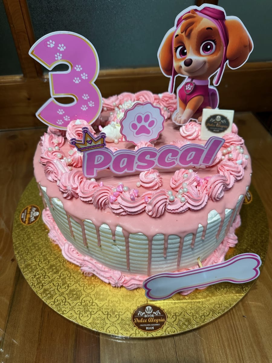 Tortas temáticas Skye2