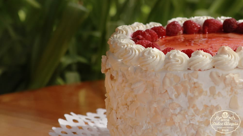 Torta Helada Frambuesa3