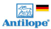 Antilope