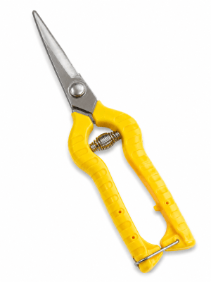 Tijera Corta Láminas 20 cms (Unidad)1